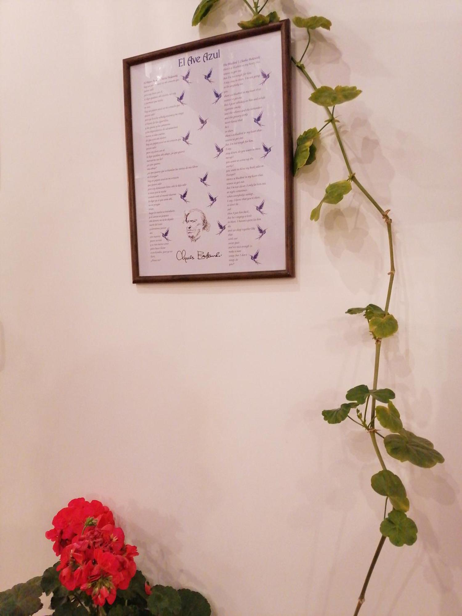 El Ave Azul Boutique Hotel Κούζκο Εξωτερικό φωτογραφία